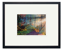 Charger l'image dans la galerie, Kwagu’ Into the Mist - small, medium and large wall art - Artist Heidi Henderson - North of Fifty Indigenous Boutique