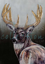 Load image into Gallery viewer, AMY KELLER REMPP Framed Art Card Collection - North of Fifty Indigenous Boutique