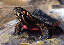 Charger l'image dans la galerie, Turtle Rock by Native artist, Indigenous Art, Richard Shorty, North of Fifty 50