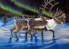 Charger l'image dans la galerie, Side by Side by Native artist Ronnie Simon, North of Fifty 50