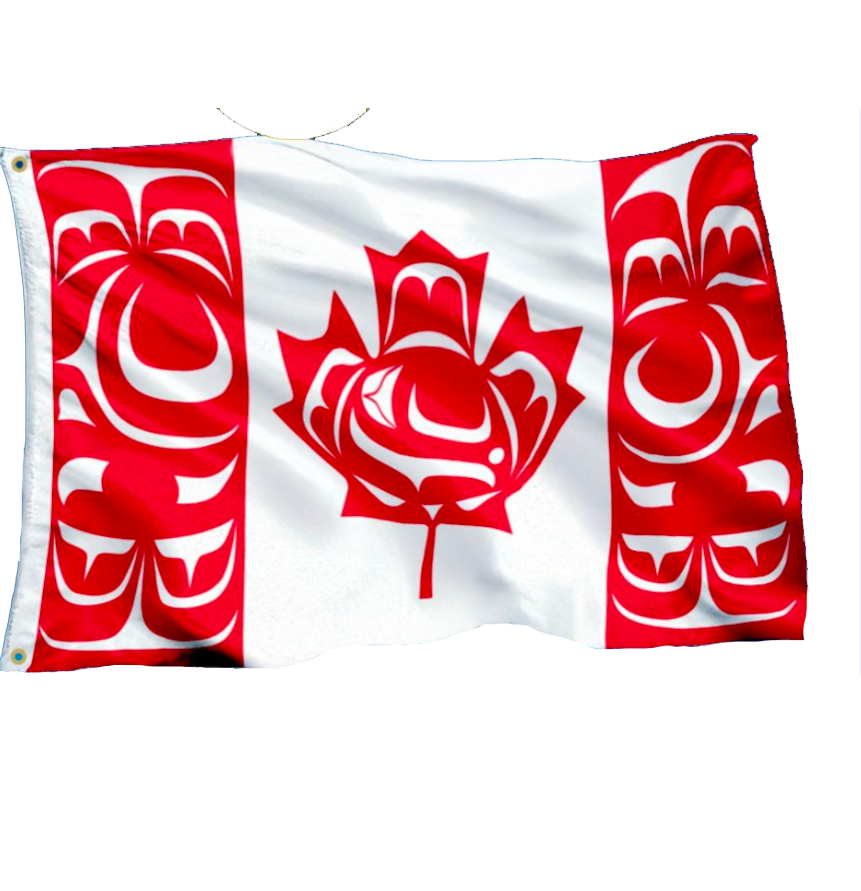 Standing Together Indigenous Flag 5' x 3' and 18