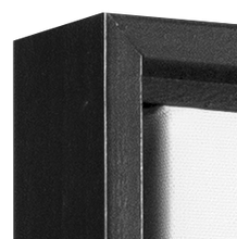 Load image into Gallery viewer, Hummingbird Feathers Wall Art
