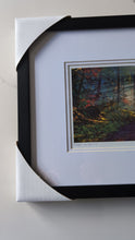 Load and play video in Gallery viewer, Kwagu’ Into the Mist - small, medium and large wall art - Artist Heidi Henderson
