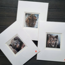 Load image into Gallery viewer, Set of 3 unframed, matted art cards with artwork by Amy Keller-Rempp - only 1 set available
