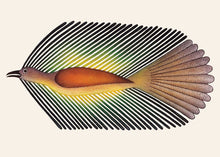 Load image into Gallery viewer, Darting Raven by Native artist Kenojuak Ashevak, North of Fifty 50
