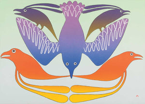 Feathered Rainbow by Native artist Kenojuak Ashevak, North of Fifty 50
