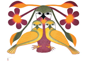 Resplendent Owl by Native artist Kenojuak Ashevak, North of Fifty 50