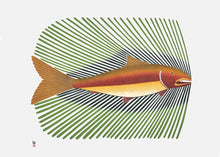 Load image into Gallery viewer, Summer Char by Native artist Kenojuak Ashevak, North of Fifty 50
