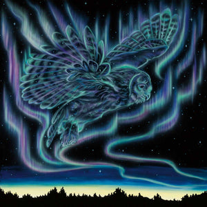 "Sky Dance - Owl" Art Card